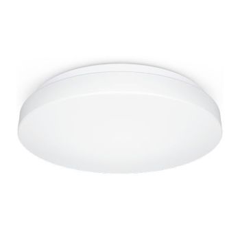 Steinel RS PRO P2-R FL. NW LED-Wand- / Deckenleuchte (069759)