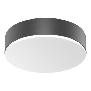 Steinel RS PRO A20 SC WW ANT LED-Wand-/Deckenleuchte (085339)