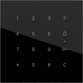 Gira Keyless In System 106 G Schwarz Tastaturmodul (5550000)