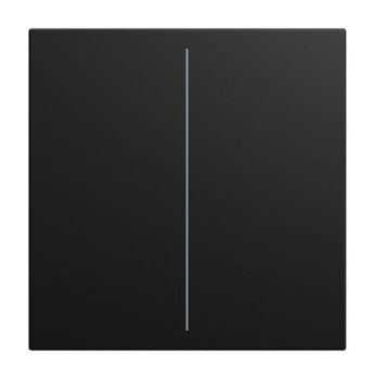 Busch-Jaeger LFW/A.2.55.11-915 2-fach f. Keypad Abdeckung (2CKA006199A0540)