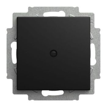 Busch-Jaeger 2538-915 m. Tragring schwarz matt Blindzentralscheibe (2CKA001715A0321)