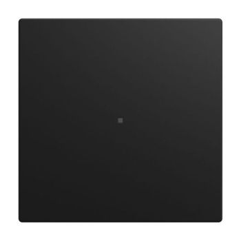 Busch-Jaeger 6230-10-915 1-fach ohne Bedruckung sw m Wippe (2CKA006220A1002)