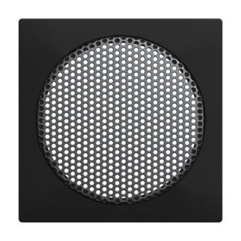 Busch-Jaeger 8253-915 Lautsprecher Zentralscheibe (2CKA008200A0294)