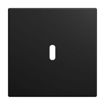 Busch-Jaeger 6479-915 USB-C-Power-Netzteil-Eins. 65W Zentralscheibe (2CKA006400A0465)
