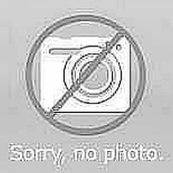 Assa 1705 RR FAFIX DIODE HZ 021 EST Türöffner (1705RR-02135E41)