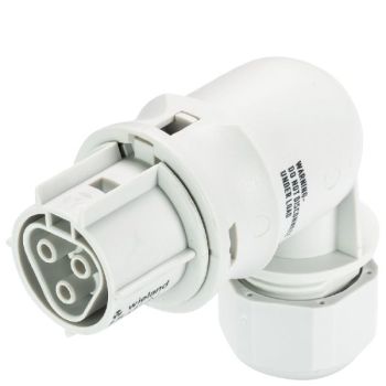 Wieland RST20I3S B1 YR1 GL Steckverbinder (96.033.4053.0)