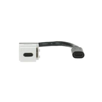 Busch-Jaeger USB Keystone Kabelpeitsche (2CKA000230A0480)