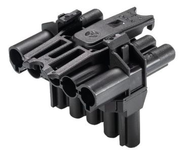 Wieland GST18I5VK2P1TB V SW T-Verteiler (92.050.3053.1)