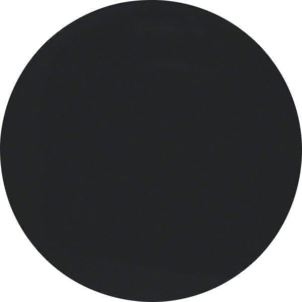 Berker 16202045, Wippe R.1/R.3 schwarz glänzend