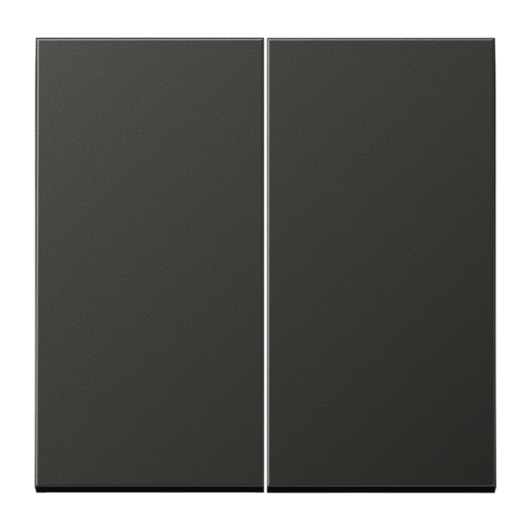 Jung AL2995AN, Wippe 2fach, Aluminium lackiert, Serie LS, anthrazit (lackiertes Aluminium)