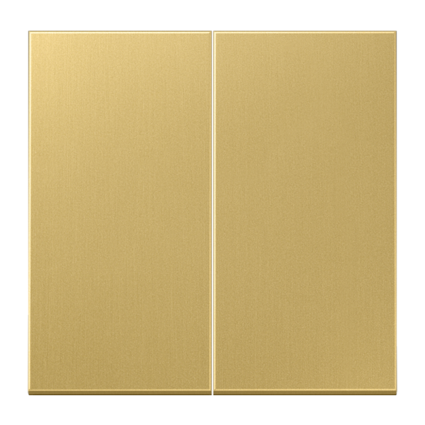 Jung ME2995C, Wippe 2fach, Messing, Serie LS, Messing classic