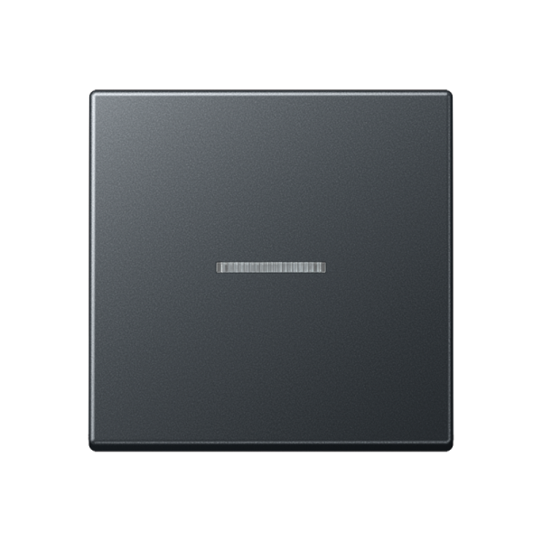 Jung A590BFKO5ANM, Wippe 1fach mit Lichtleiter, Thermoplast lackiert, Serie A, anthrazit matt