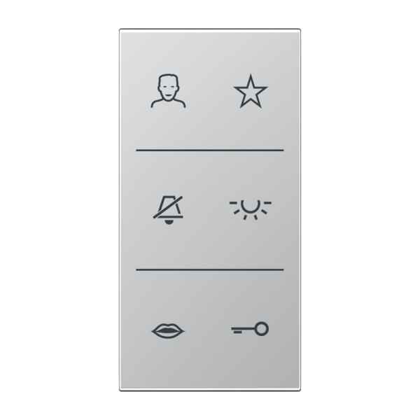 Jung SIV6ALDC, Design-Cover Video, F50, Serie LS, Aluminium