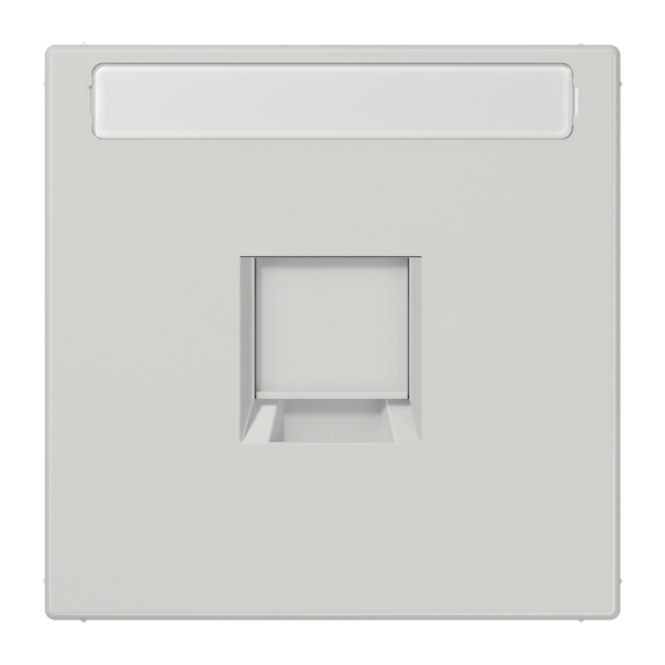 Jung LS1969-1NAWELG, Abdeckung (gerastet) für Modular-Jack-Steckbuchsen 1fach, UMA-CAT6A, RADIALL, Panduit, Assmann, mit Schriftfeld, Thermoplast, Serie LS, lichtgrau Jung LS1969-1NAWELG, Abdeckung (gerastet) für Modular-Jack-Steckbuchsen 1fach, UMA-CAT6A, RADIALL, Panduit, Assmann, mit Schriftfeld, Thermoplast, Serie LS, lichtgrau