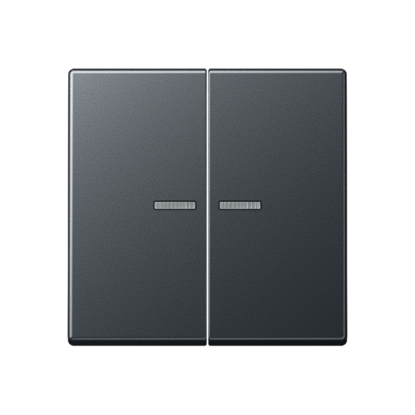 Jung BTA17102BFANM, JUNG HOME Taster 2fach, Thermoplast lackiert, Serie A, anthrazit matt