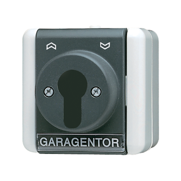 Jung 833.18W, Schlüsselschalter, Taster (Wechsler), 1-pol., AX 250 V ~, IP 44, WG 800