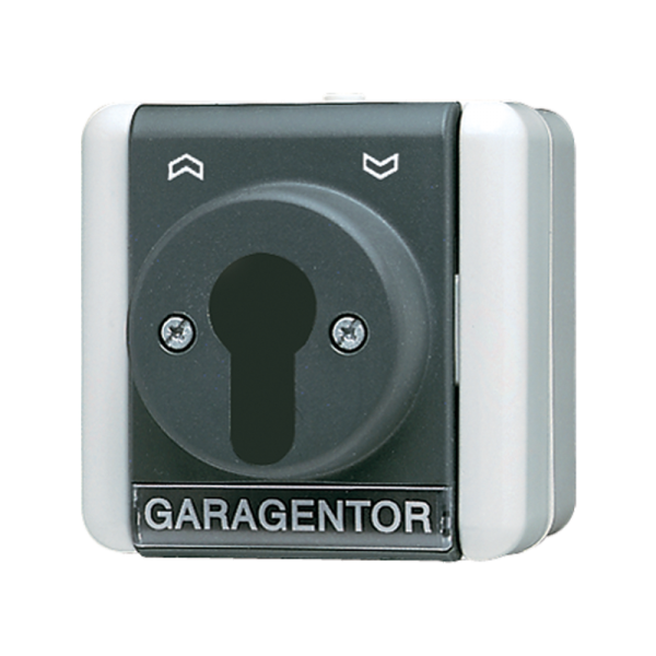 Jung 806.18WEINS, Schlüsselschalter Einsatz, Universal Aus-Wechselschalter, 1-pol., WG 800