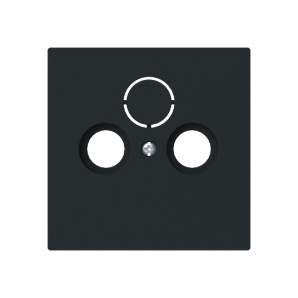 Busch Jaeger 1743-45M, Zentralscheibe für Antennensteckdose 2/3-fach(2CKA001724A4435)