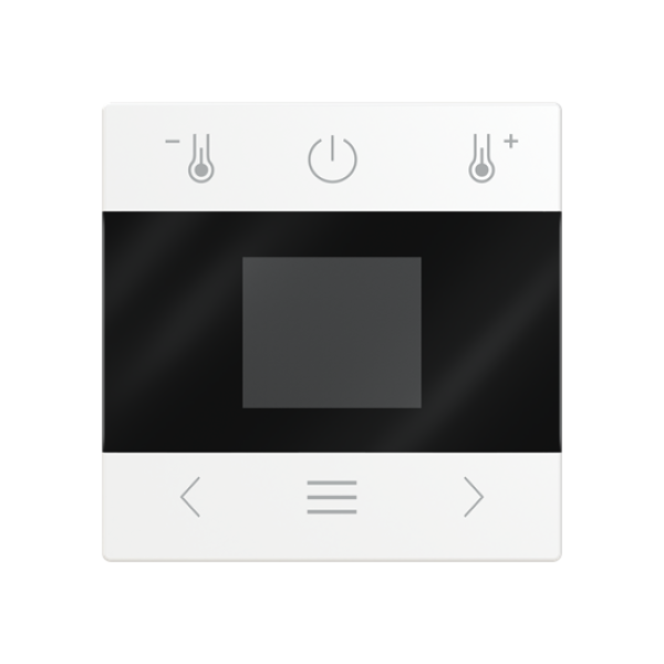 Busch-Jaeger mit Display Bluetooth Zentralscheibe (2CKA006430A0412)