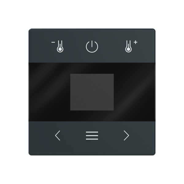 Busch-Jaeger mit Display Bluetooth Zentralscheibe (2CKA006430A0417)