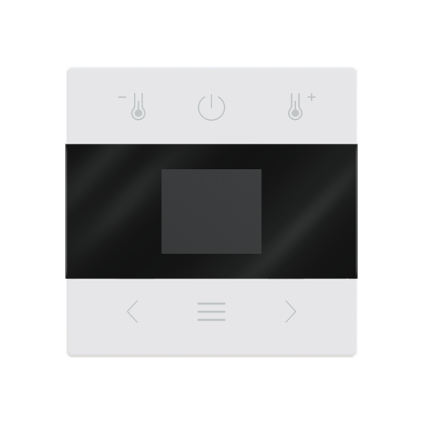 Busch-Jaeger mit Display Bluetooth Zentralscheibe (2CKA006430A0423)