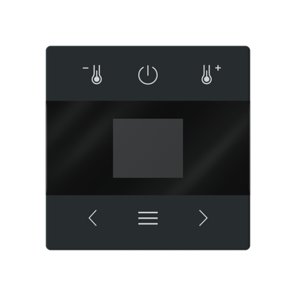 Busch-Jaeger mit Display Bluetooth Zentralscheibe (2CKA006430A0424)