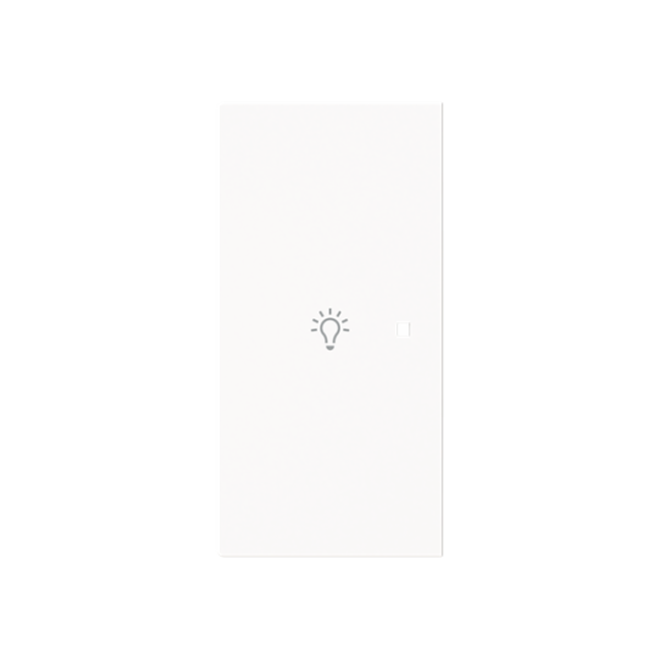 Busch Jaeger 6231-21-44M, Wippe 2-fach, links mit Symbol Licht"(2CKA006220A0949)"