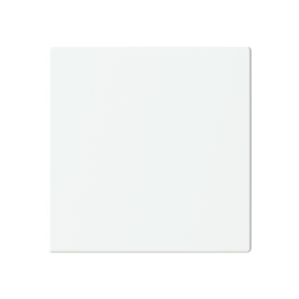 Busch Jaeger LFW/A.1.63.11-884, Abdeckung, 1-fach für Keypad(2CKA006199A0046)