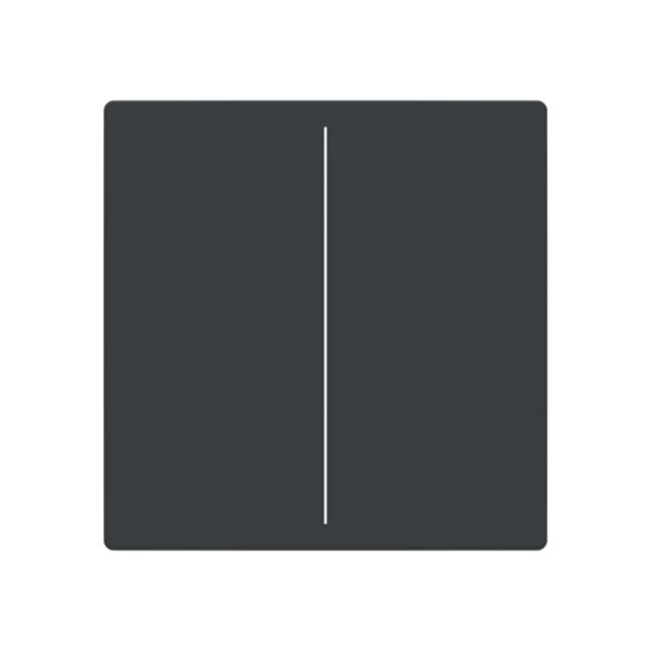 Busch Jaeger LFW/A.2.63.11-81, Abdeckung, 2-fach für Keypad(2CKA006199A0050)