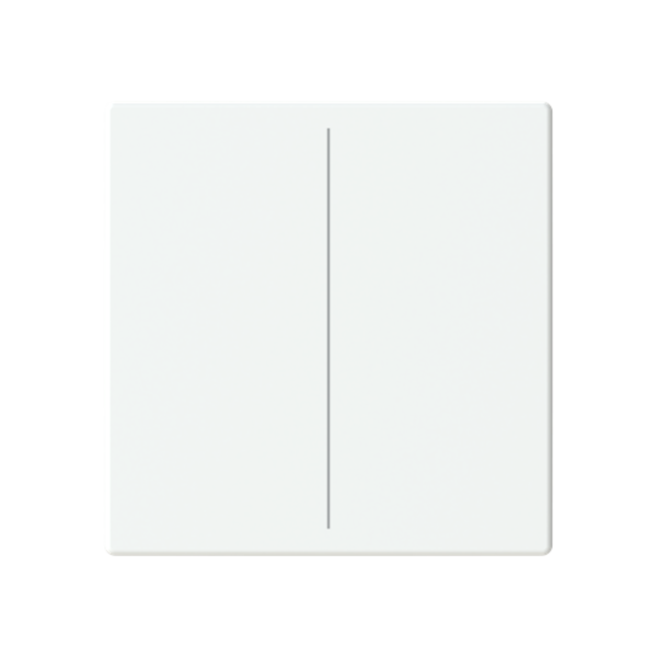 Busch Jaeger LFW/A.2.63.11-884, Abdeckung, 2-fach für Keypad(2CKA006199A0054)