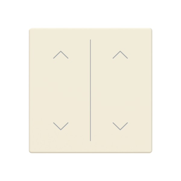 Busch Jaeger LFAW/A.2.63.11-84, Abdeckung als Wippe 2-fach mit Symbol Auf/Ab"(2CKA006199A0250)"