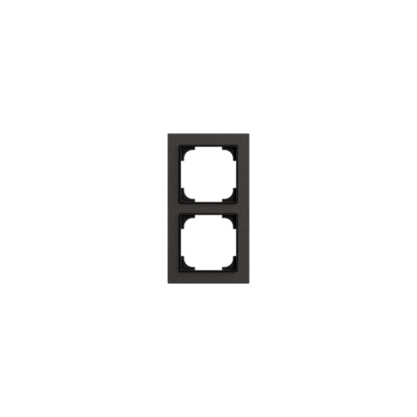 Busch Jaeger 1722-4045, Abdeckrahmen 2-fach (2CKA001754A4898)