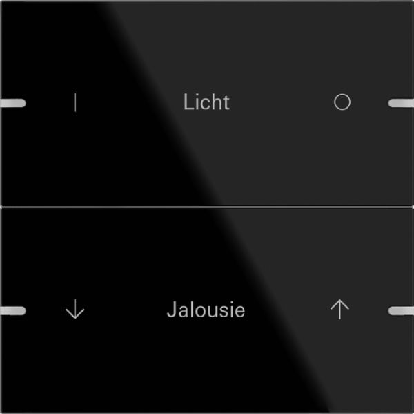 Gira 503205,Wippenset 2f indiv. Tastsens.4 TS4 G Schwarz