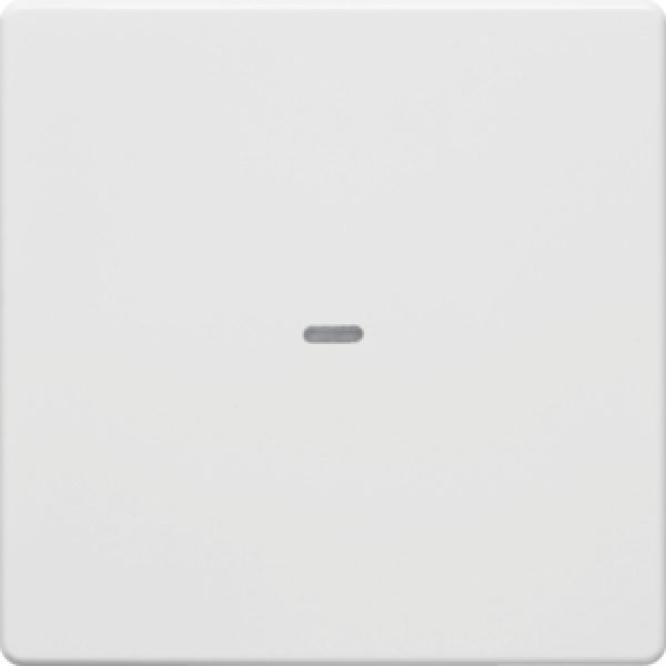 Berker 80960229, Abdeckung 1f. Tastsen.-Modul Q.x pw