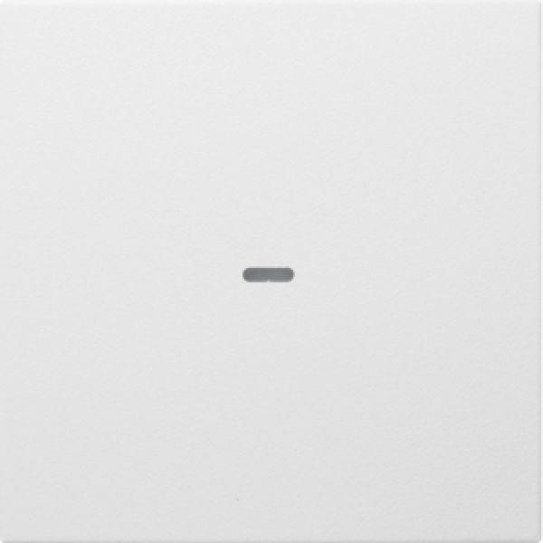 Berker 80960299, Abdeckung 1f. Tastsen.-Mod. S/B pw-ma