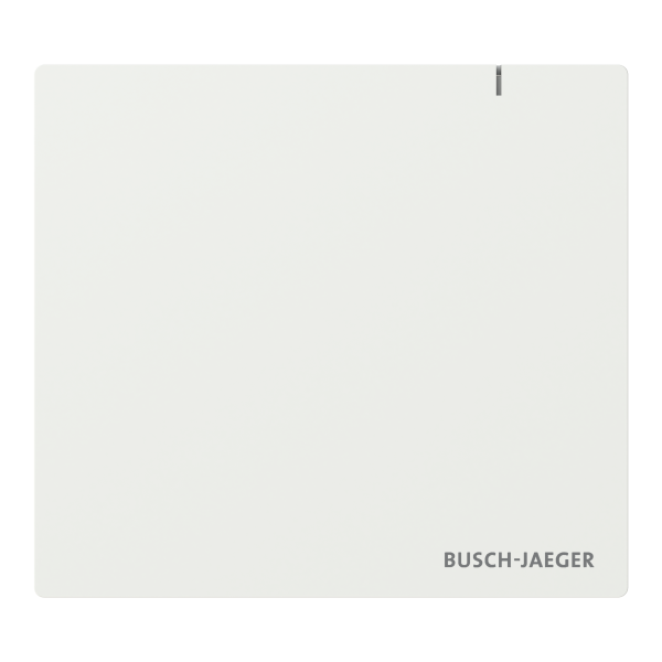 Busch Jaeger SAP.13 - System Access Point 3.0 (2CKA006200A0868)