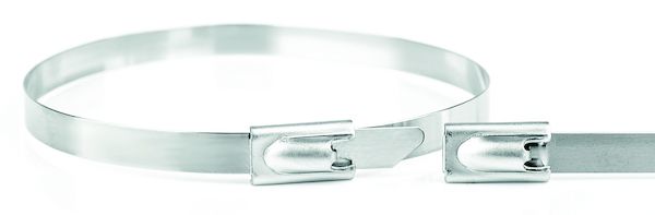 PROTEC.class PEKB46200 200x4,6mm Edelstahl 304 Kabelbinder (05106661)