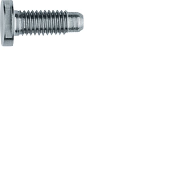 ELCOM Spezial ZY M5x12 Edelstahl Schraube(REH121Y)