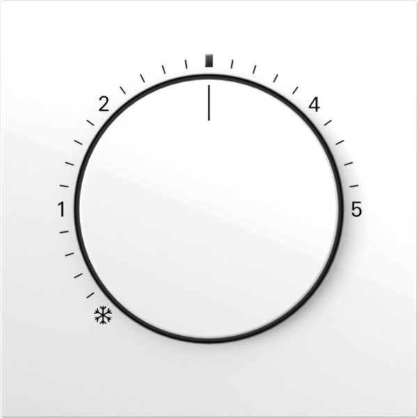 Gira 2702112 reinweiß glänzend Abdeckung (2702112)