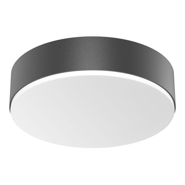 Steinel RS PRO A20 SC WW ANT LED-Wand-/Deckenleuchte (085339)