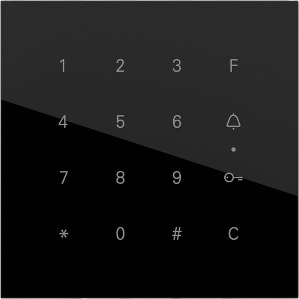 Gira Keyless In System 106 G Schwarz Tastaturmodul (5550000)