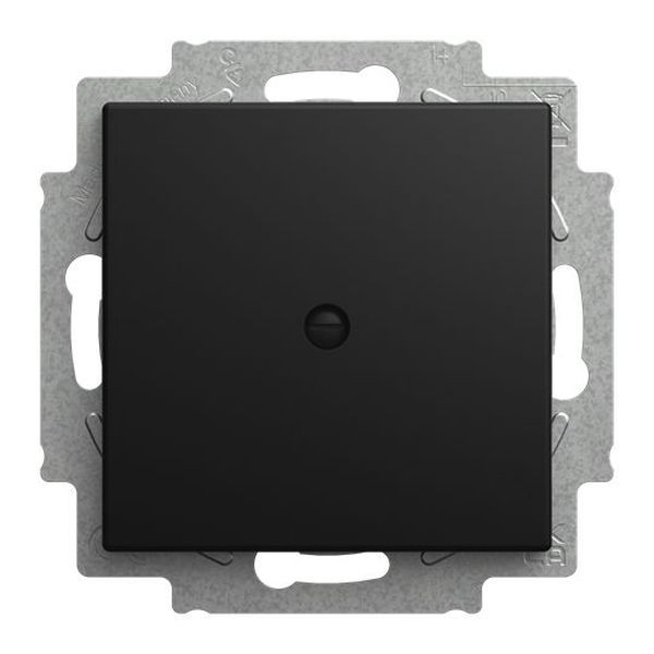 Busch-Jaeger 2538-915 m. Tragring schwarz matt Blindzentralscheibe (2CKA001715A0321)