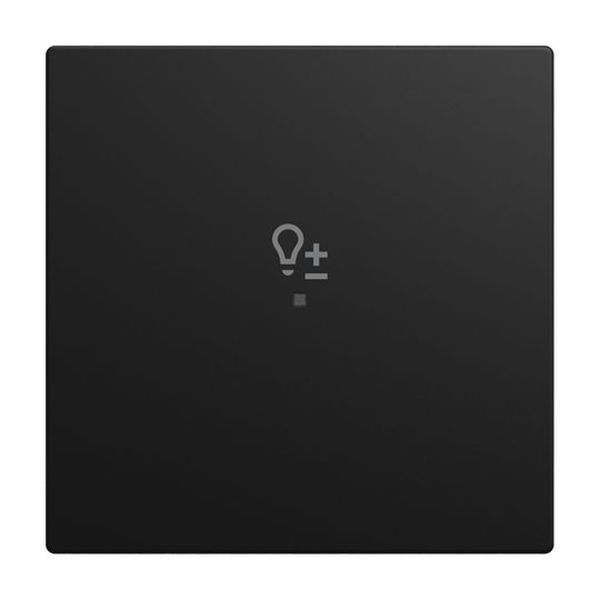 Busch-Jaeger 6234-10-915 1-fach "Dimmer" schwarz matt Wippe (2CKA006220A1012)