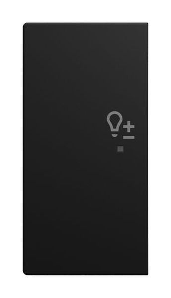 Busch-Jaeger 6234-21-915 2-fach links"Dimmer" sw matt Wippe (2CKA006220A1013)