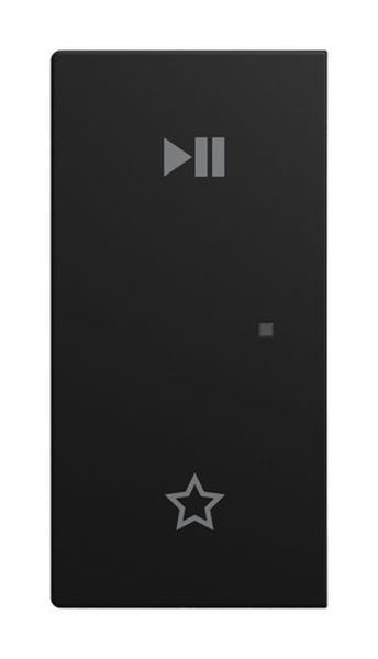 Busch-Jaeger 6237-21-915 2-f links"Play/Pause" sw m Wippe (2CKA006220A1017)