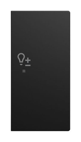 Busch-Jaeger 6234-22-915 2fach rechts"Dimmer" sw matt Wippe (2CKA006220A1014)