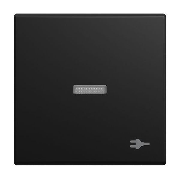 Busch-Jaeger 1789 ST-915 m. Aufdruck schwarz matt Wippe (2CKA001731A4036)
