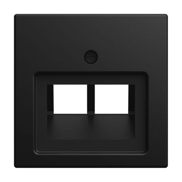 Busch-Jaeger 1803-02-915 2-fach schwarz matt Zentralscheibe (2CKA001753A0216)