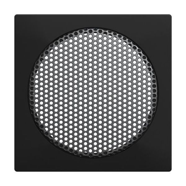 Busch-Jaeger 8253-915 Lautsprecher Zentralscheibe (2CKA008200A0294)