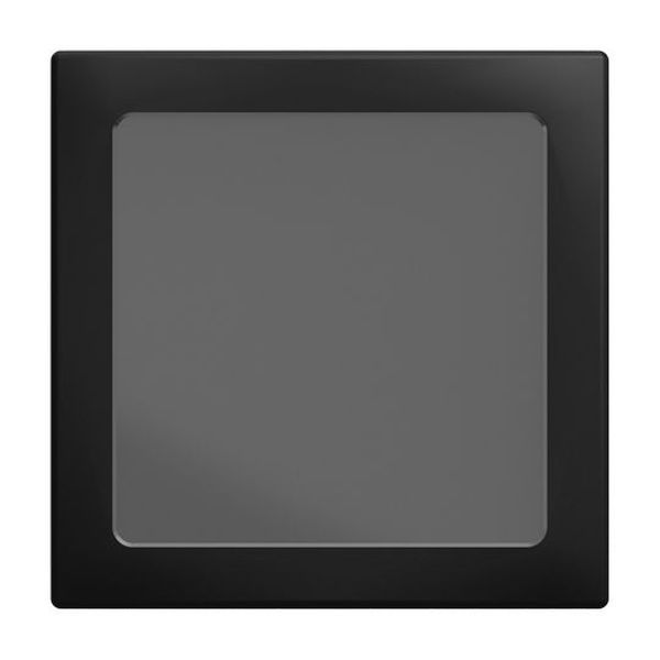 Busch-Jaeger 2562-915 LED-Infolicht Zentralscheibe (2CKA001731A4051)
